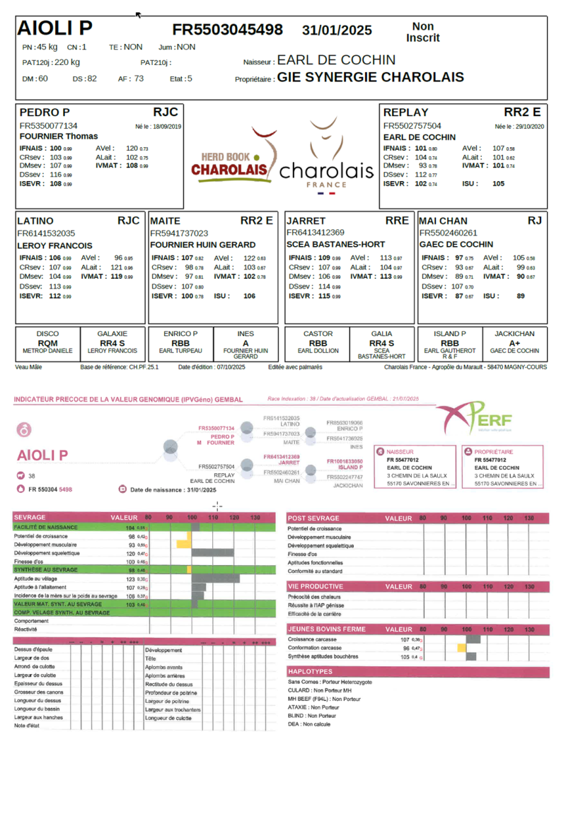 genealogie taureau charolais AIOLI P