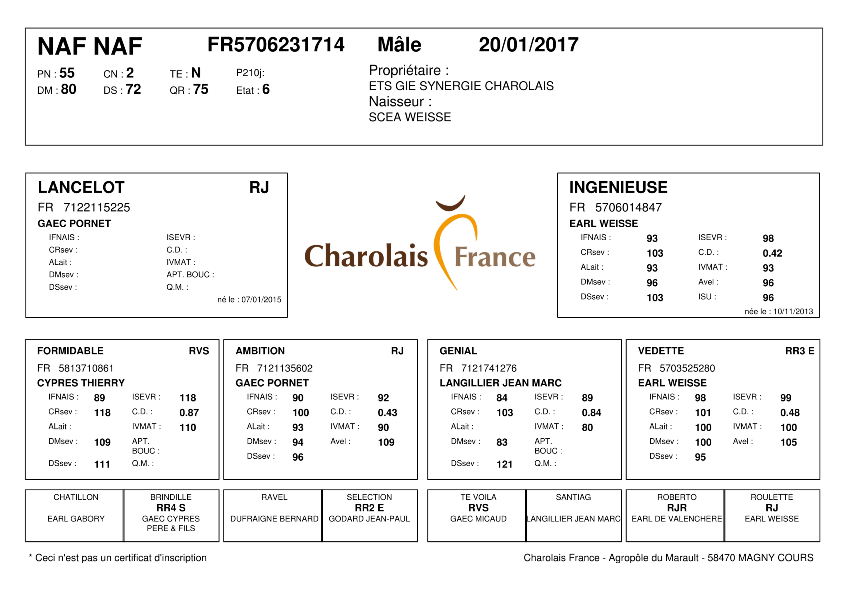 genealogie taureau charolais NAF NAF