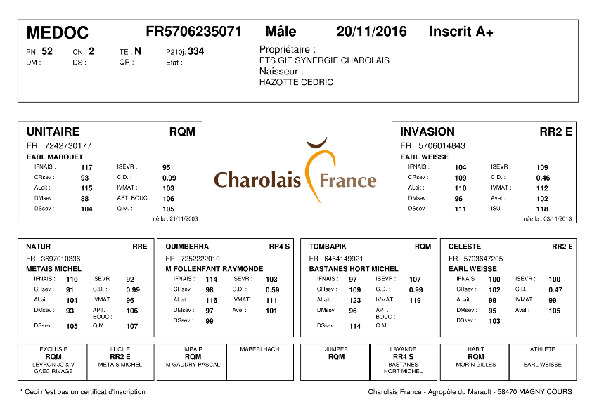 genealogie taureau charolais MEDOC