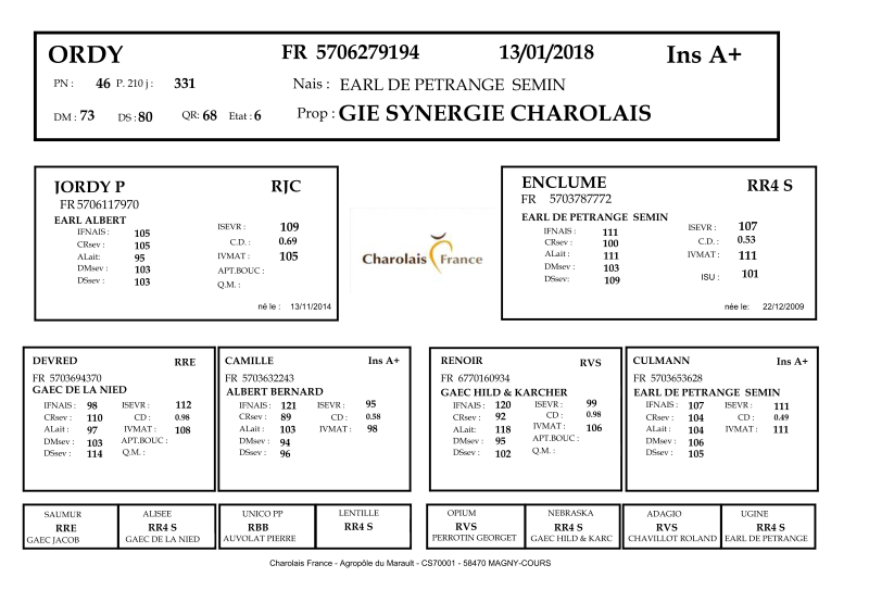 genealogie taureau charolais ORDY