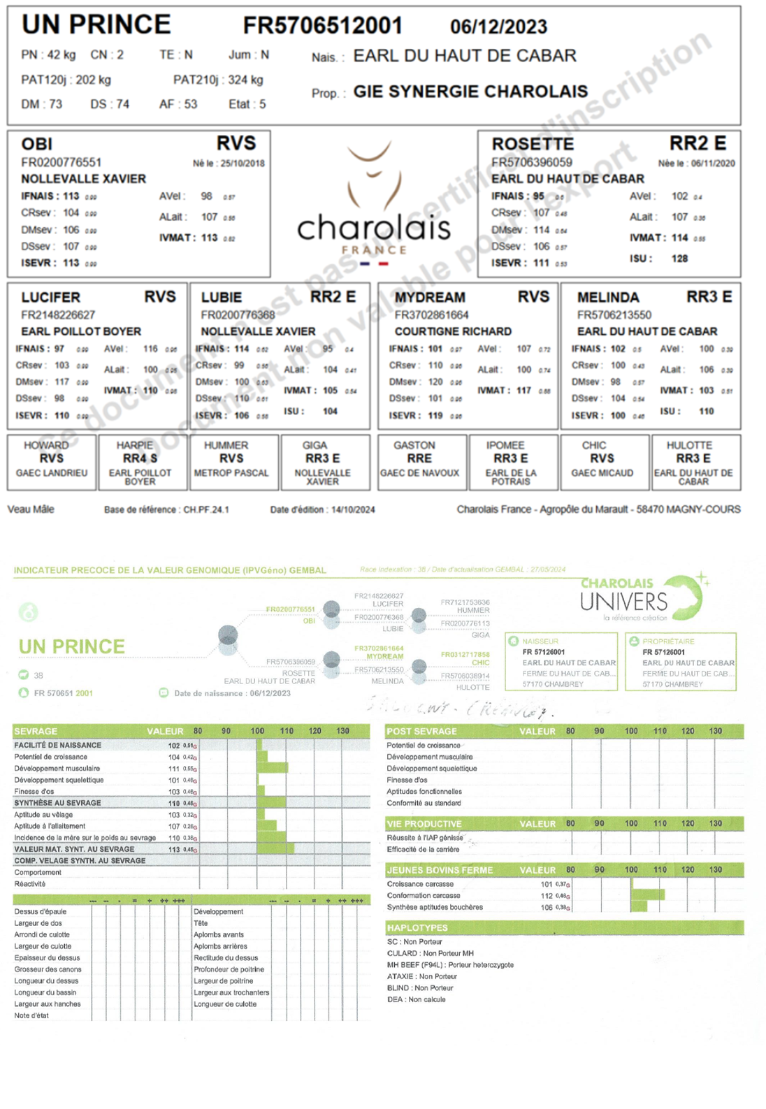 genealogie taureau charolais UN PRINCE