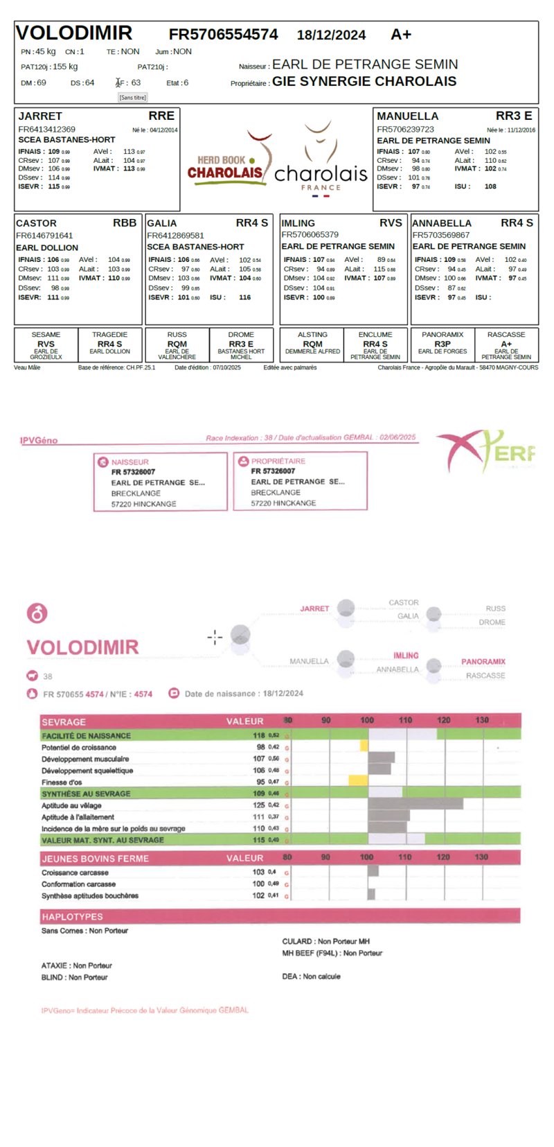 genealogie taureau charolais VOLODIMIR