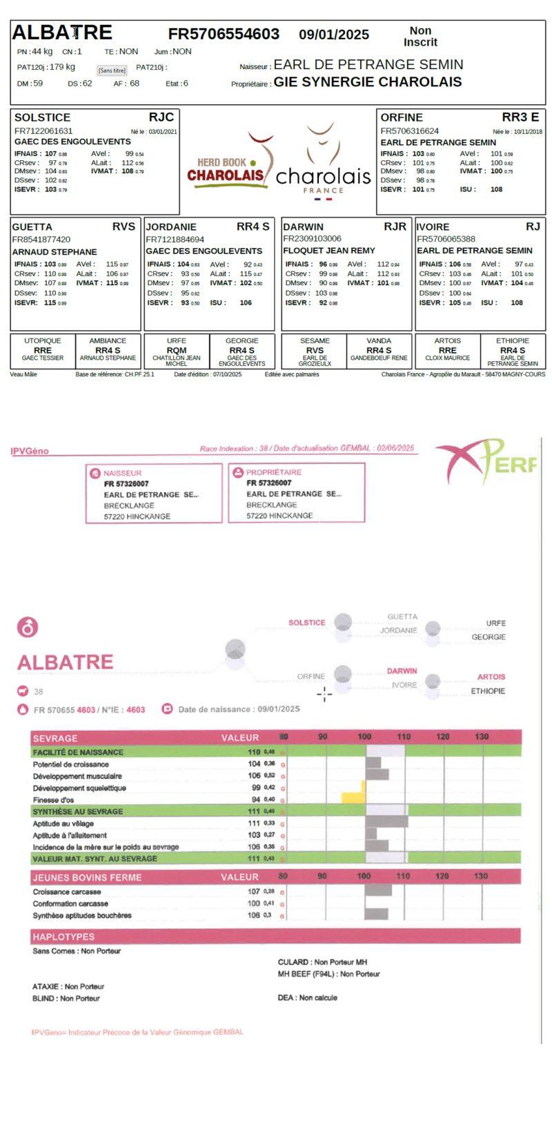 genealogie taureau charolais ALBATRE