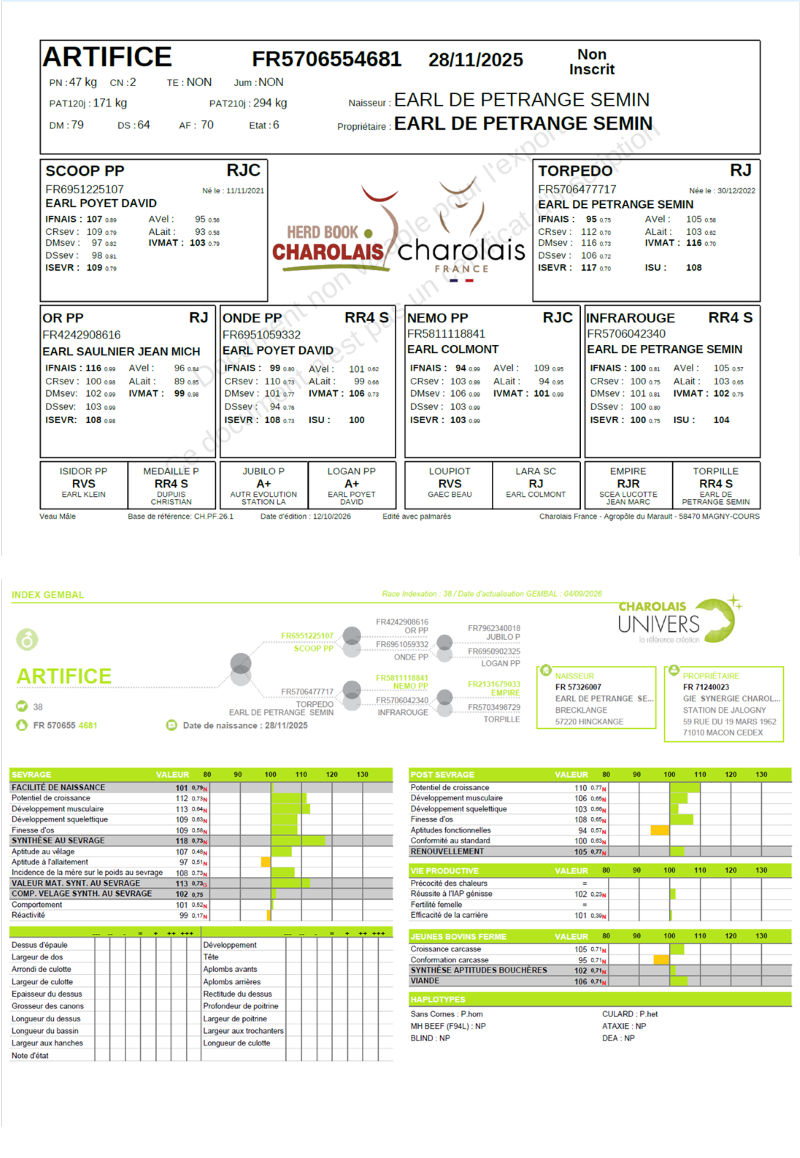 genealogie taureau charolais ARTIFICE  
