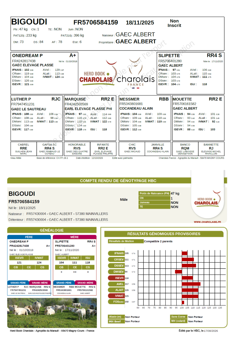 genealogie taureau charolais BIGOUDI   