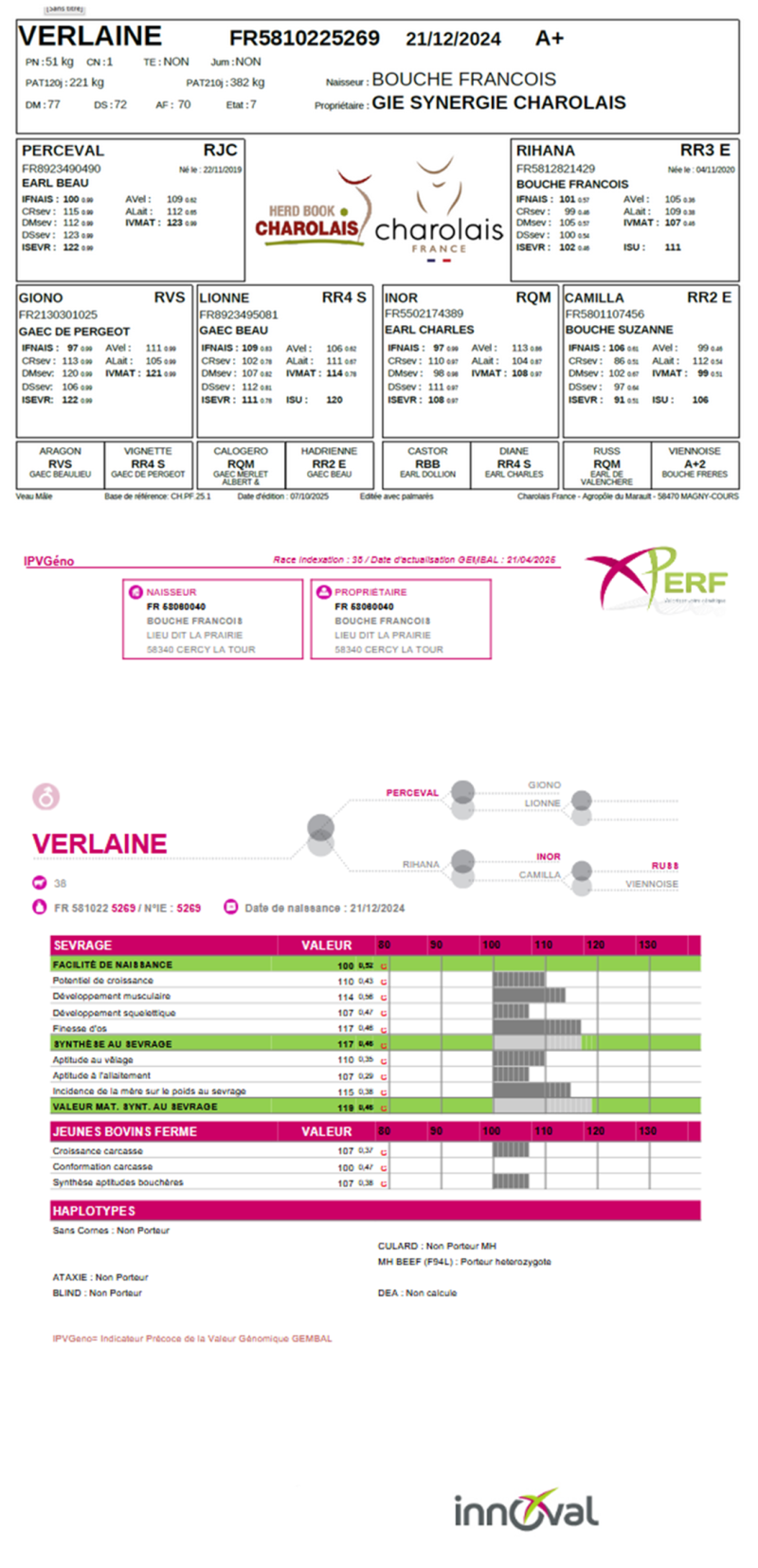 genealogie taureau charolais VERLAINE