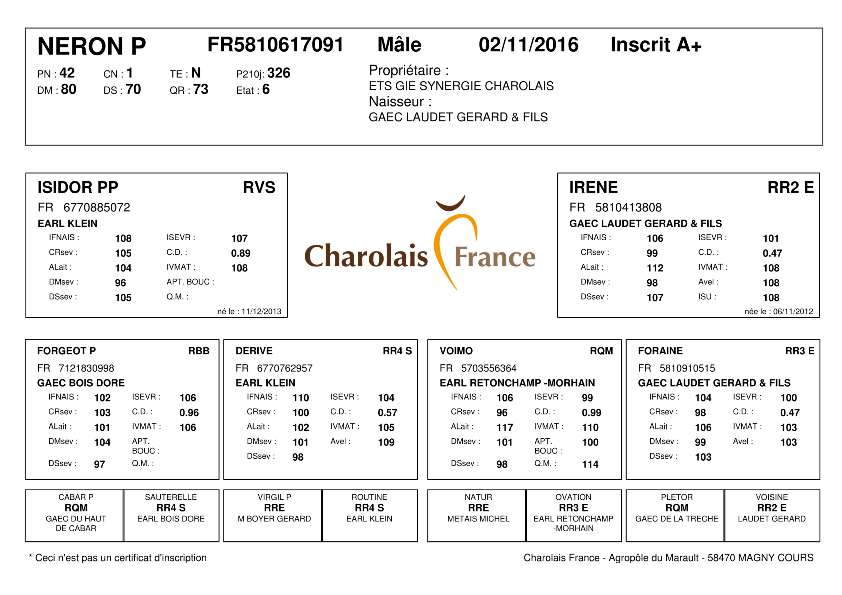 genealogie taureau charolais NERON P