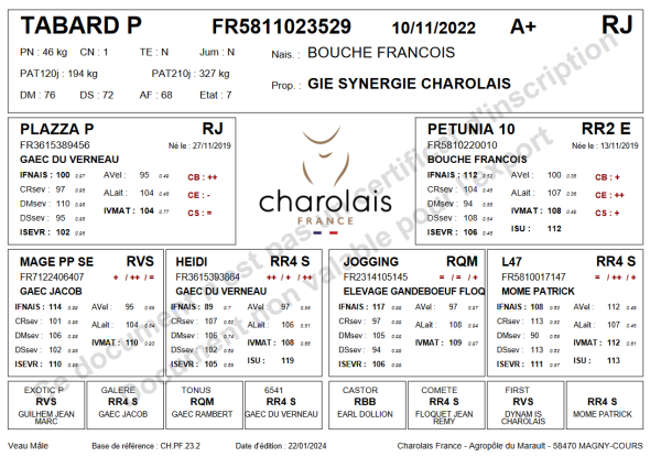 genealogie taureau charolais TABARD P