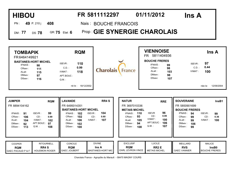 genealogie taureau charolais HIBOU