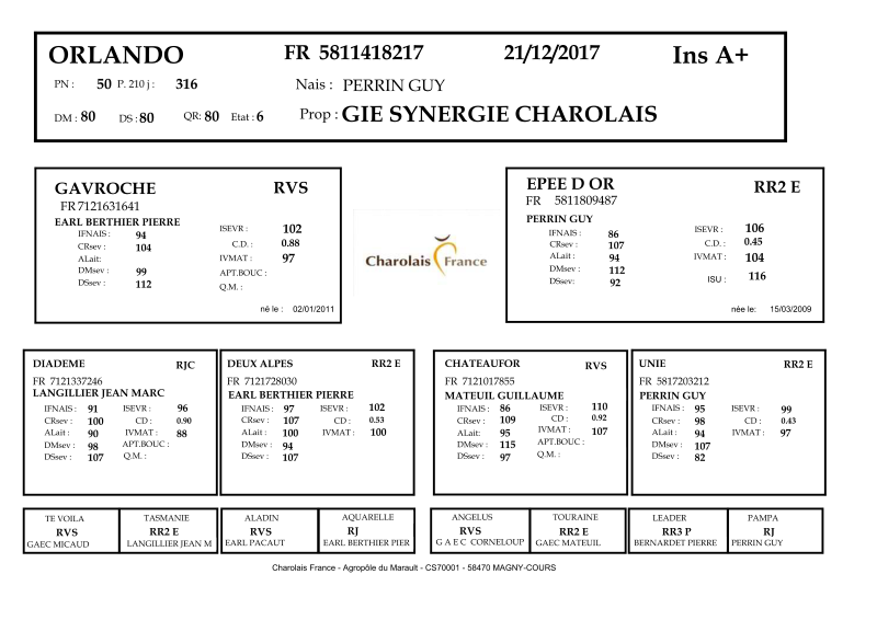 genealogie taureau charolais ORLANDO
