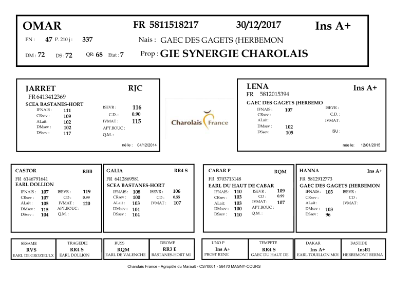 genealogie taureau charolais OMAR