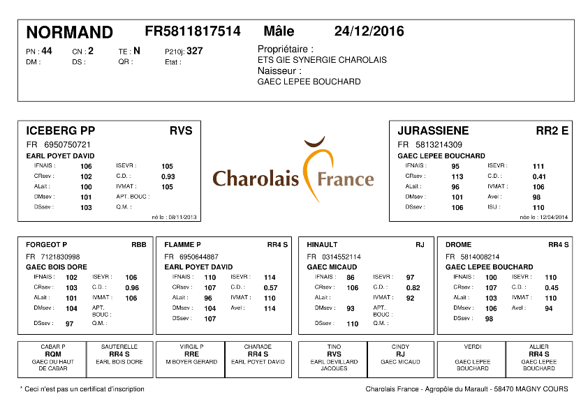 genealogie taureau charolais NORMAND