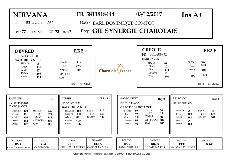 genealogie taureau charolais NIRVANA