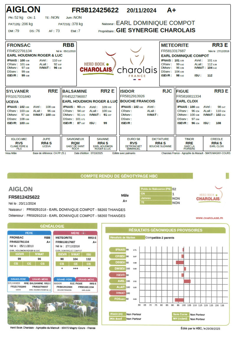 genealogie taureau charolais AIGLON