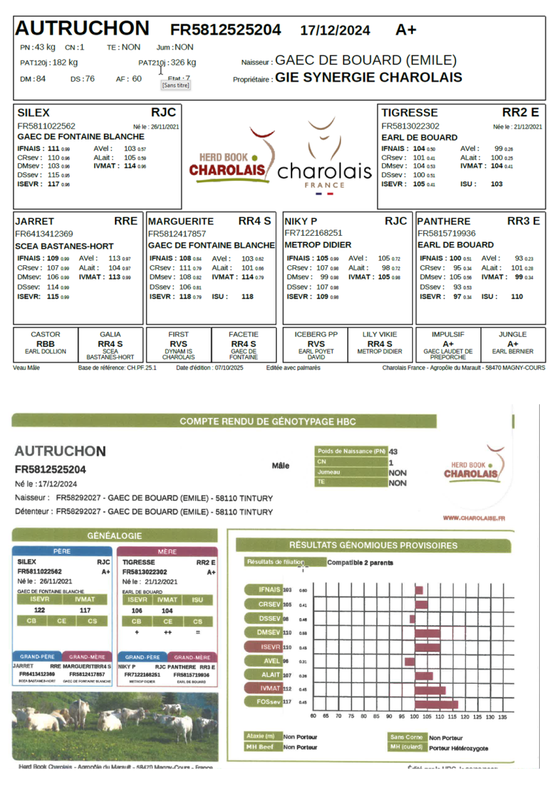 genealogie taureau charolais AUTRUCHON