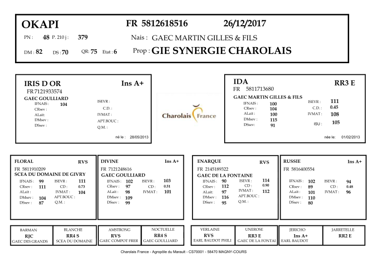 genealogie taureau charolais OKAPI