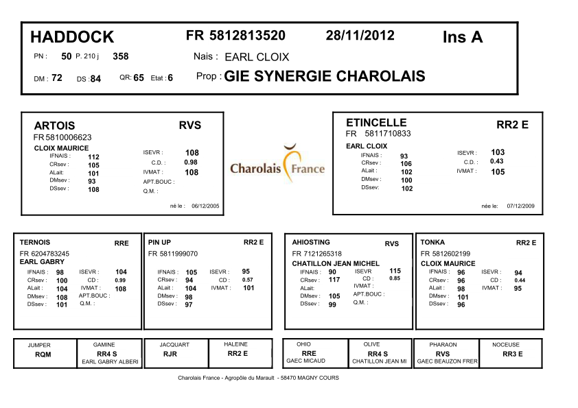 genealogie taureau charolais HADDOCK