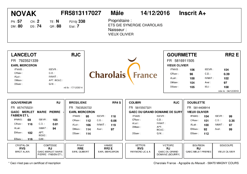 genealogie taureau charolais NOVAK