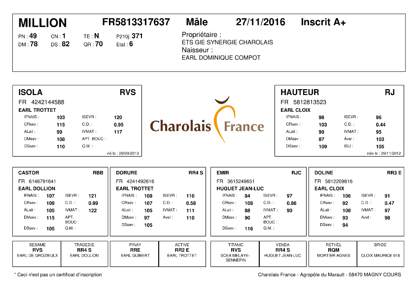 genealogie taureau charolais MILLION
