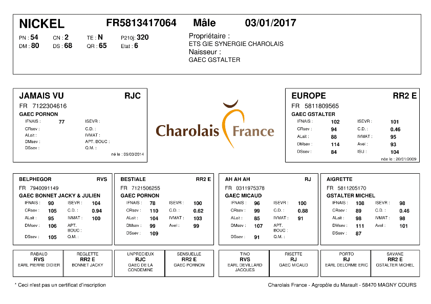 genealogie taureau charolais NICKEL