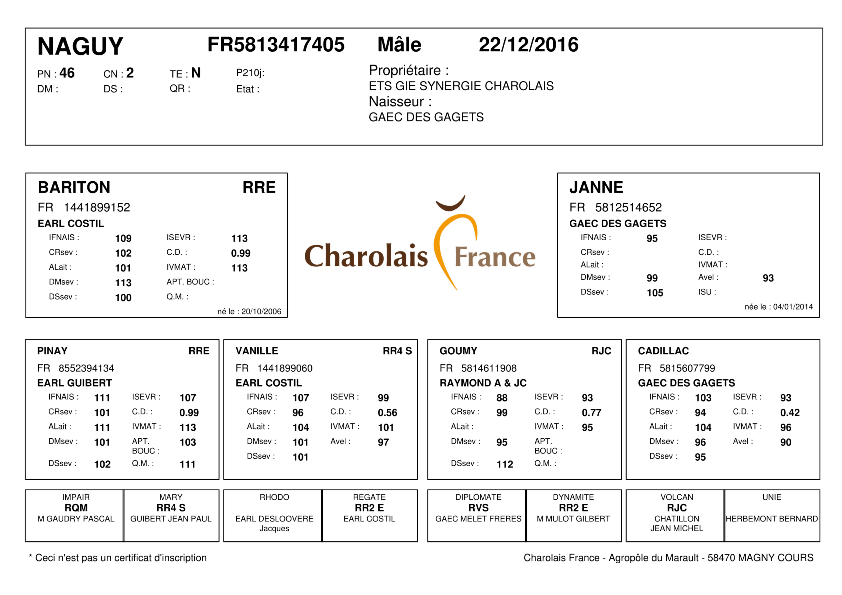 genealogie taureau charolais NAGUY