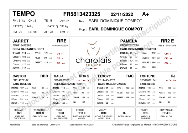 genealogie taureau charolais TEMPO