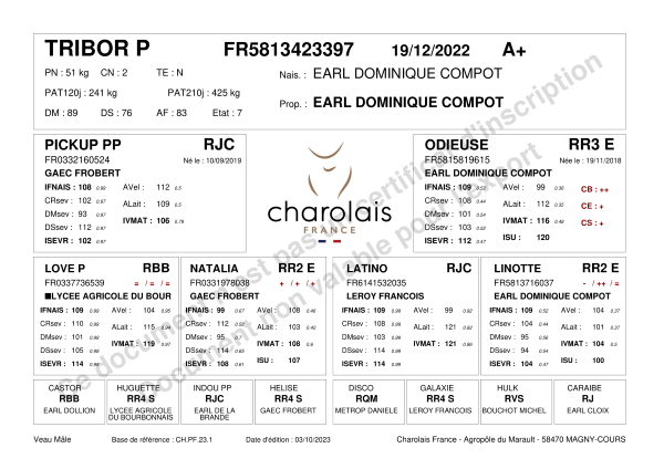 genealogie taureau charolais TRIBOR P