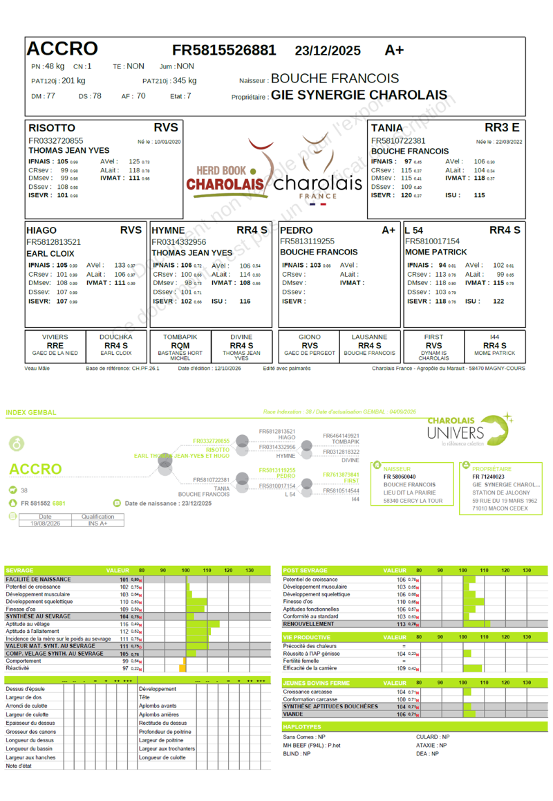 genealogie taureau charolais ACCRO     