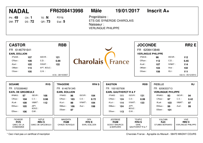 genealogie taureau charolais NADAL