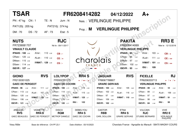 genealogie taureau charolais TSAR