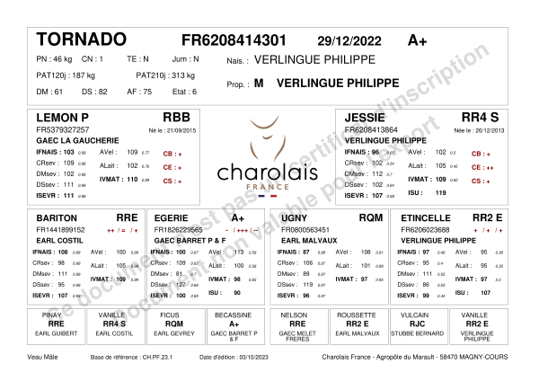 genealogie taureau charolais TORNADO