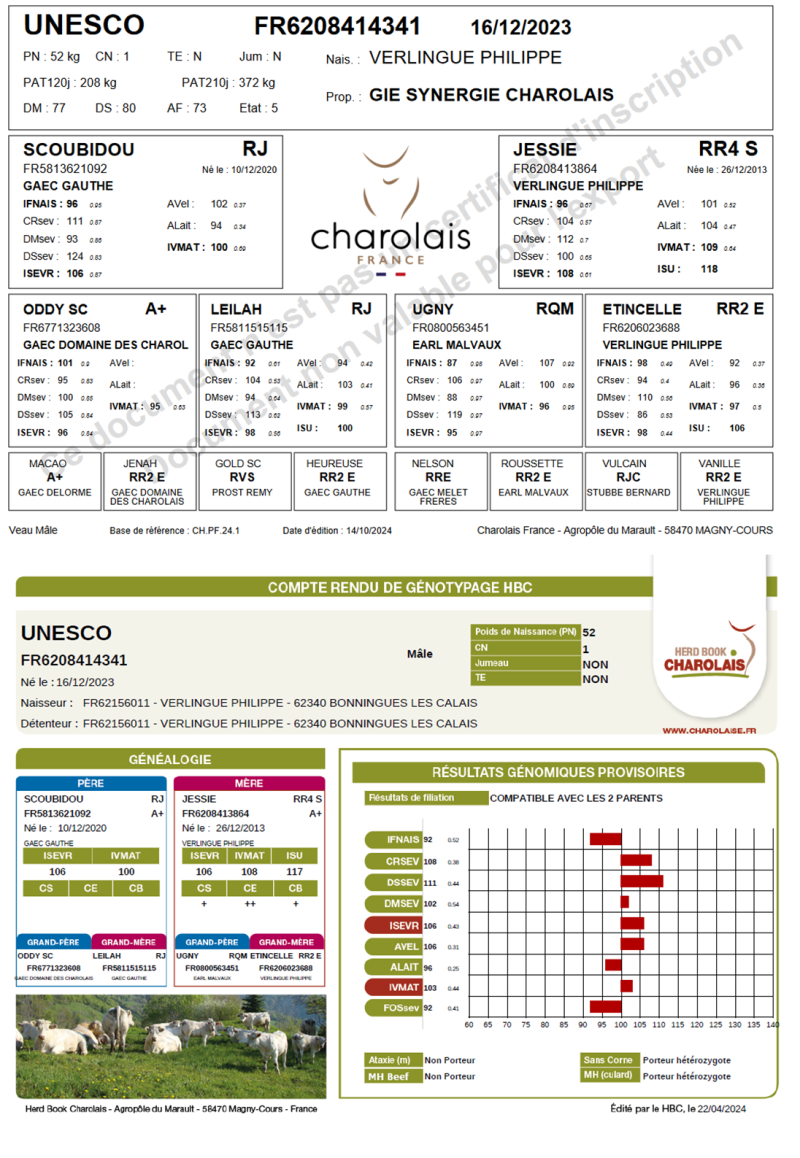 genealogie taureau charolais UNESCO