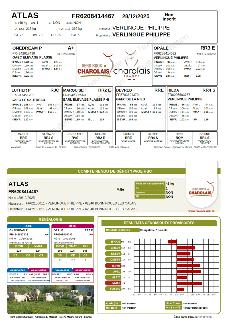 genealogie taureau charolais ATLAS     