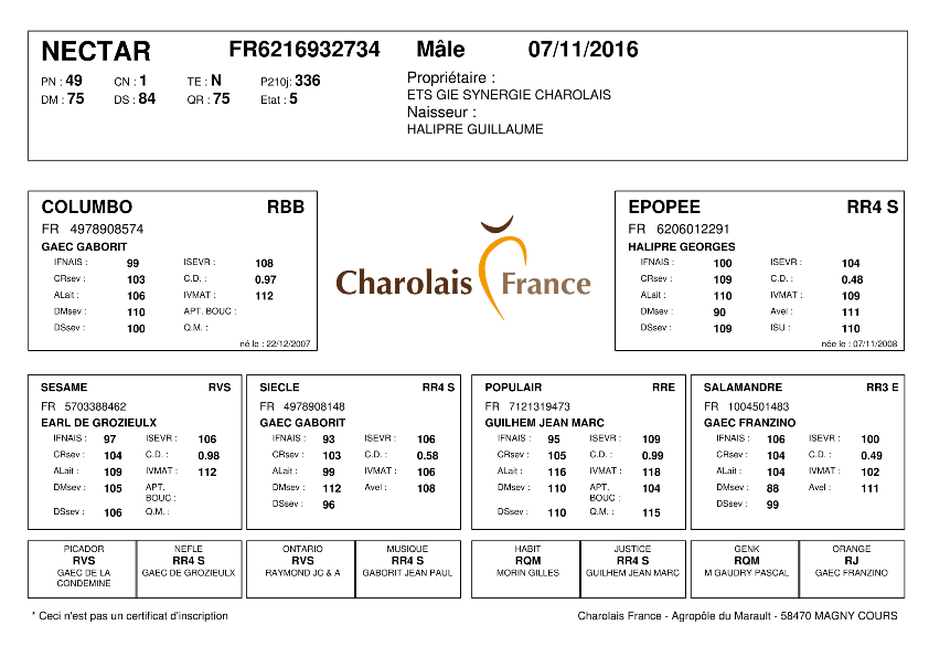 genealogie taureau charolais NECTAR