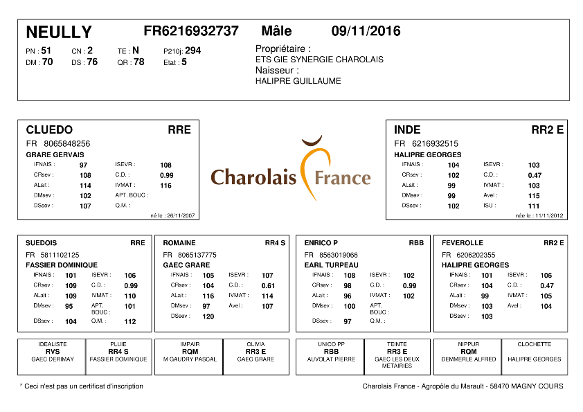 genealogie taureau charolais NEULLY