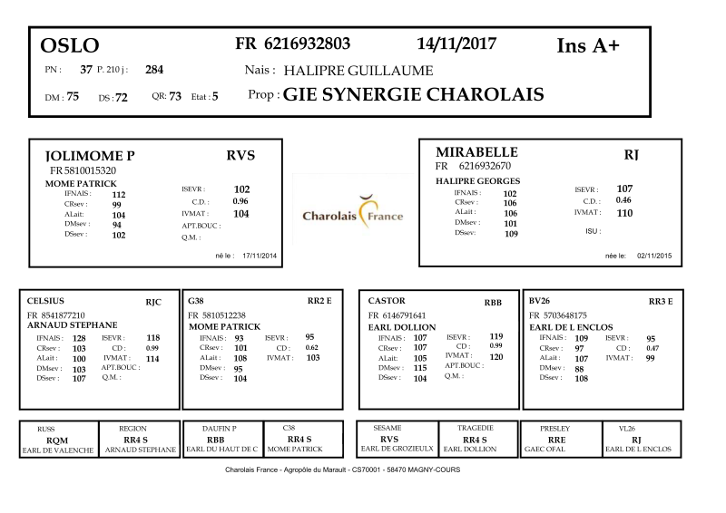 genealogie taureau charolais OSLO