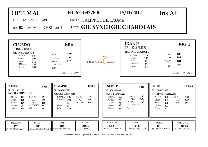 genealogie taureau charolais OPTIMAL