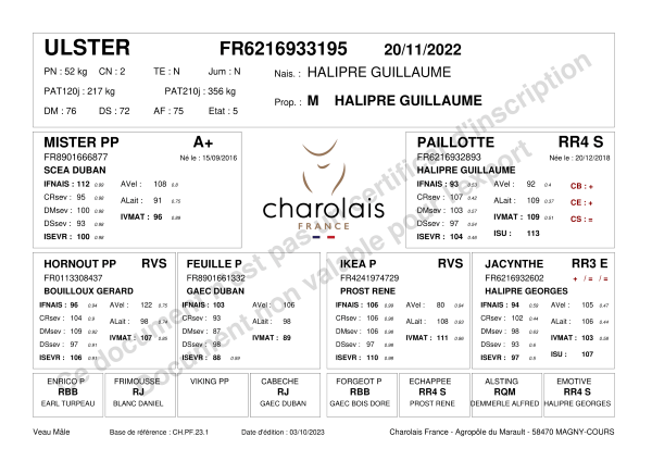 genealogie taureau charolais ULSTER