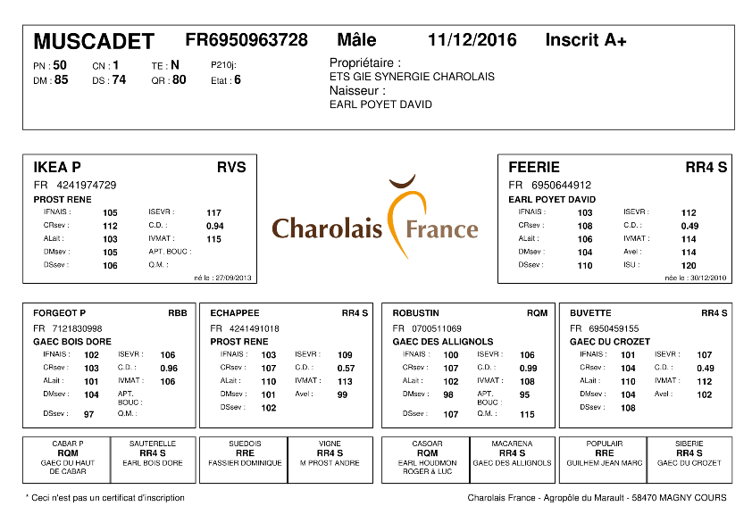 genealogie taureau charolais MUSCADET