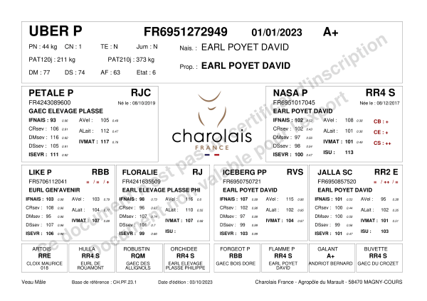 genealogie taureau charolais UBER P
