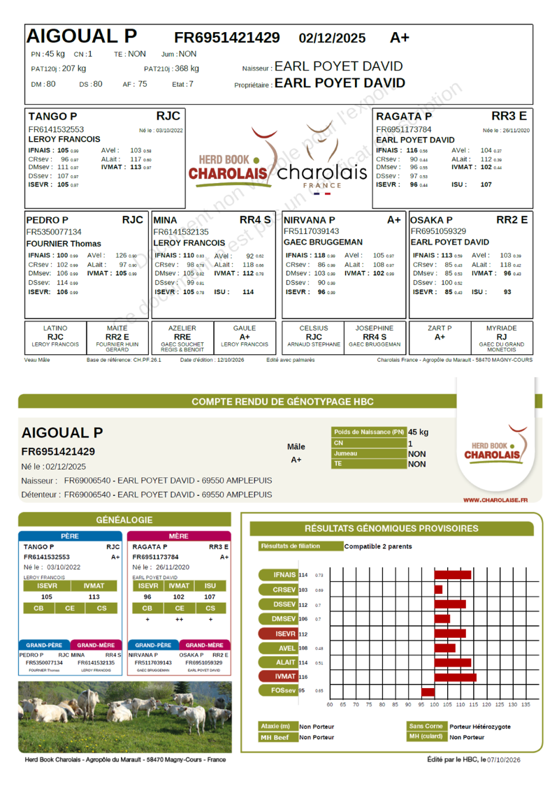 genealogie taureau charolais AIGOUAL P 