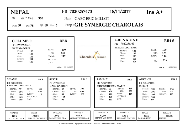 genealogie taureau charolais NEPAL