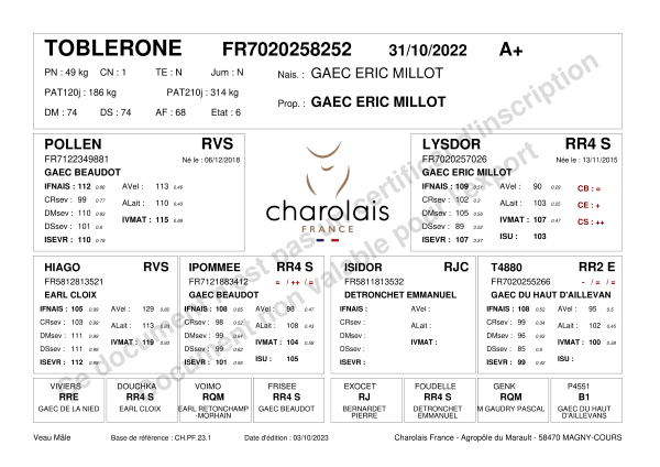 genealogie taureau charolais TOBLERONE