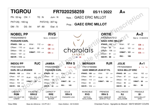 genealogie taureau charolais TIGROU