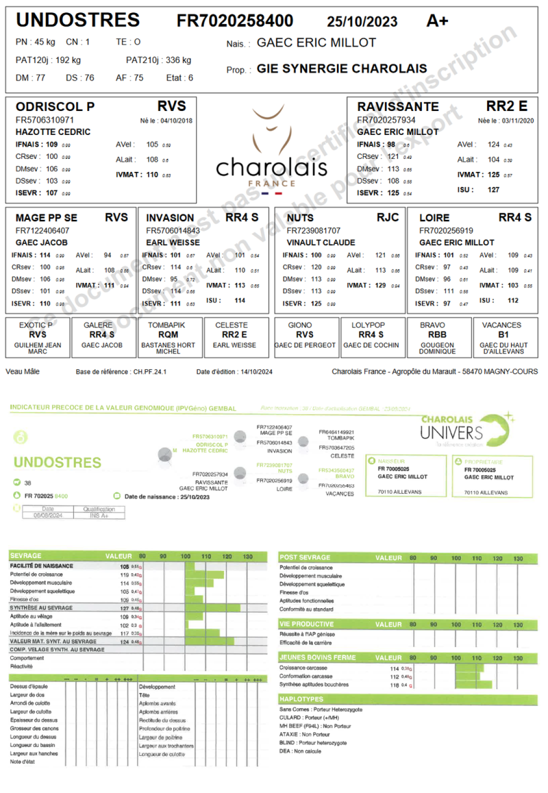 genealogie taureau charolais UNDOSTRES