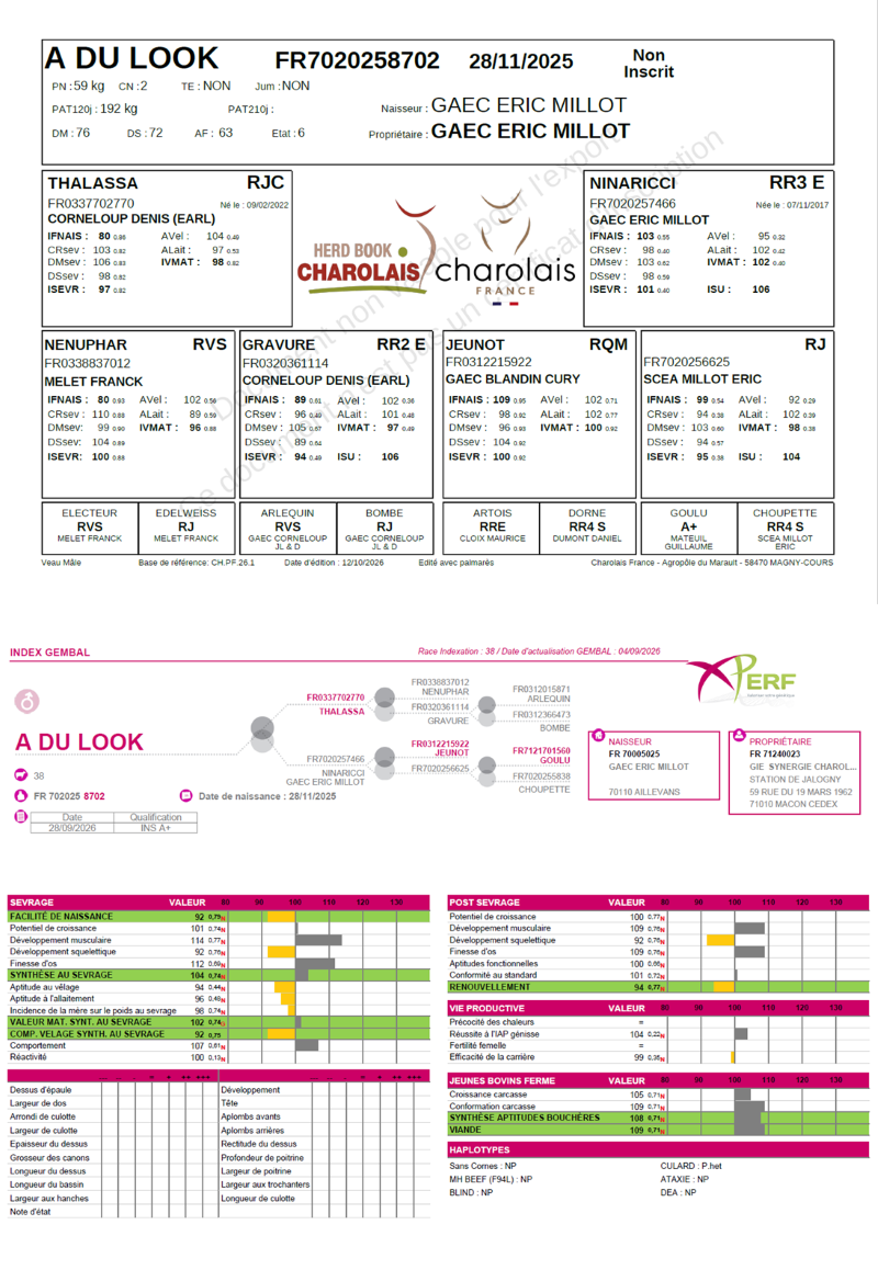 genealogie taureau charolais A DU LOOK 