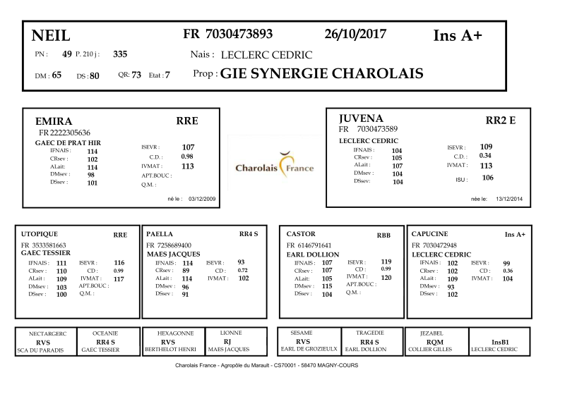 genealogie taureau charolais NEIL