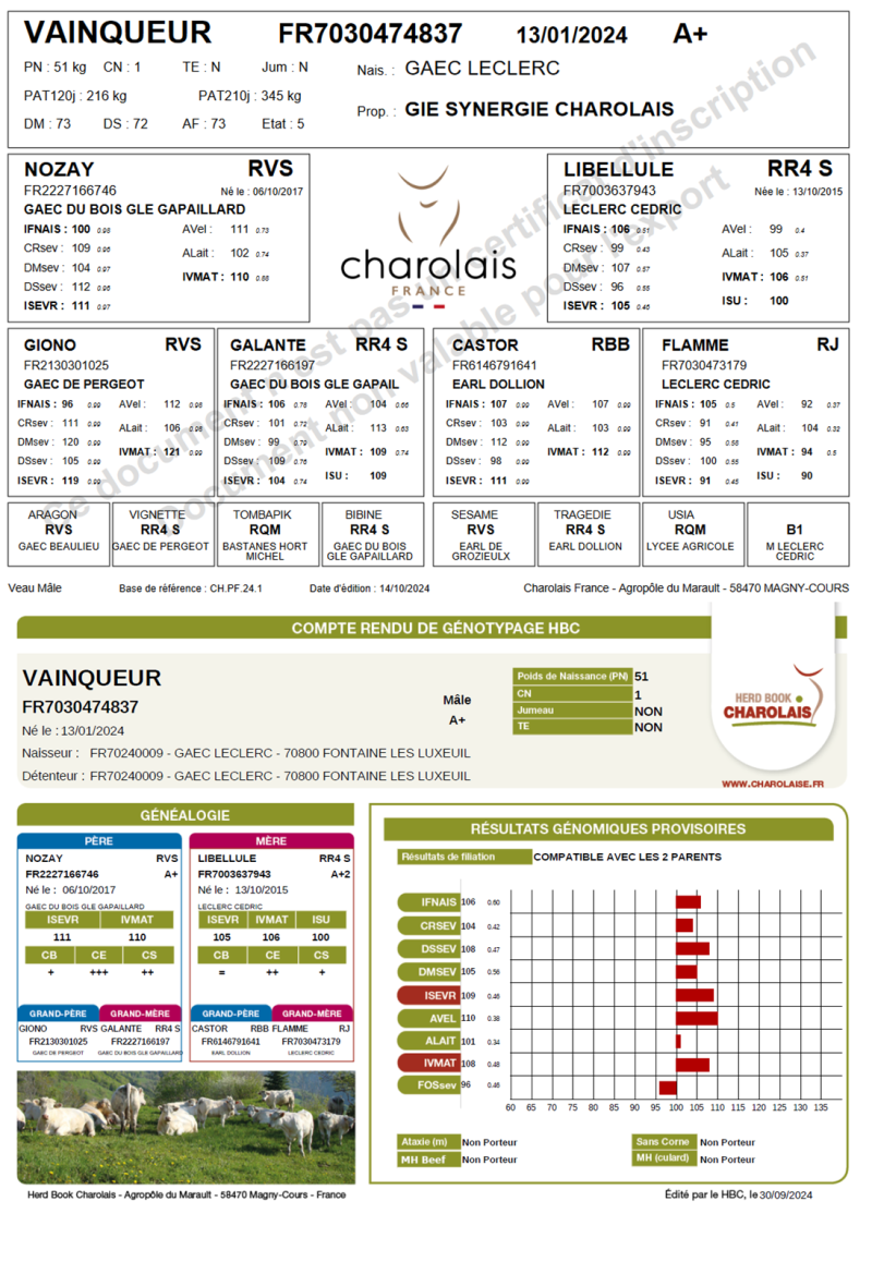 genealogie taureau charolais VAINQUEUR
