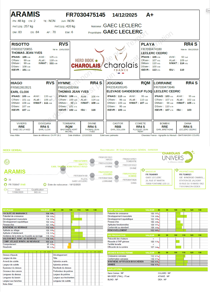 genealogie taureau charolais ARAMIS    