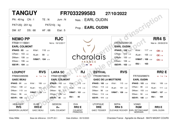 genealogie taureau charolais TANGUY